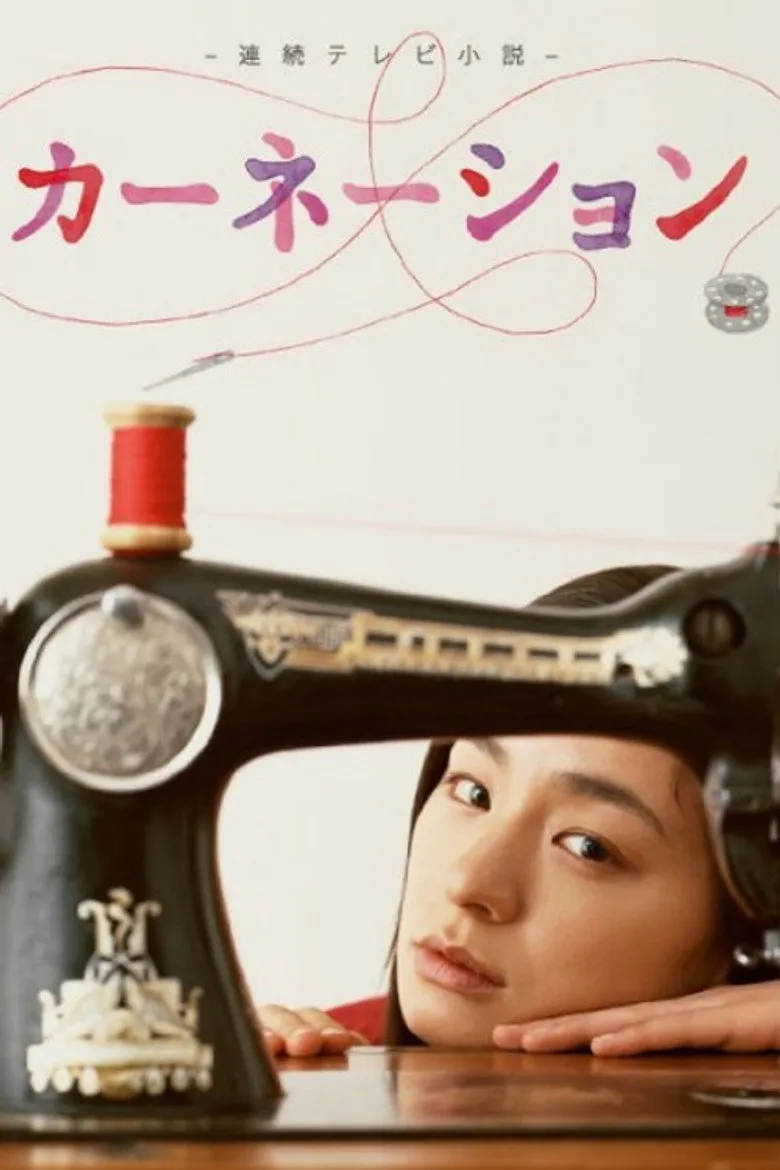 康乃馨海报